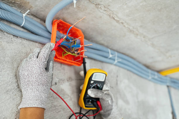 Generator Installation Services in Woods Creek, WA